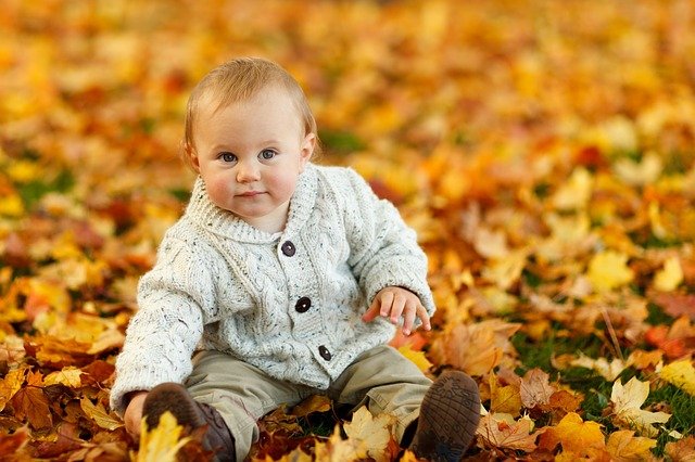 Cozy Baby Sweaters